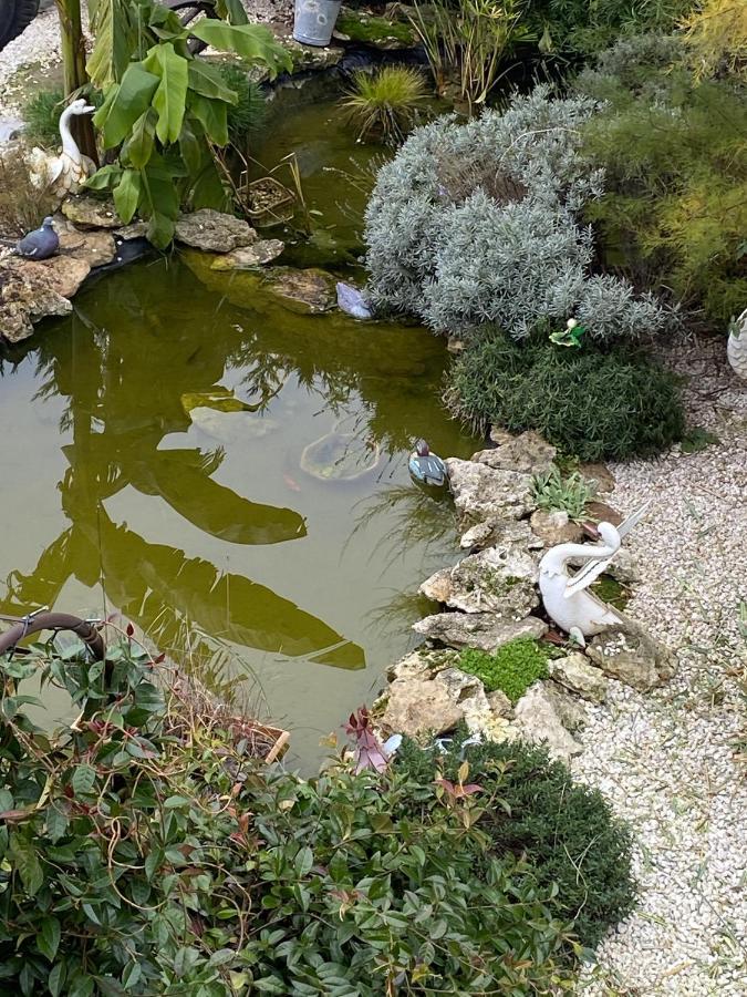 La Maison Du Bonheur Saintry-sur-Seine Dış mekan fotoğraf