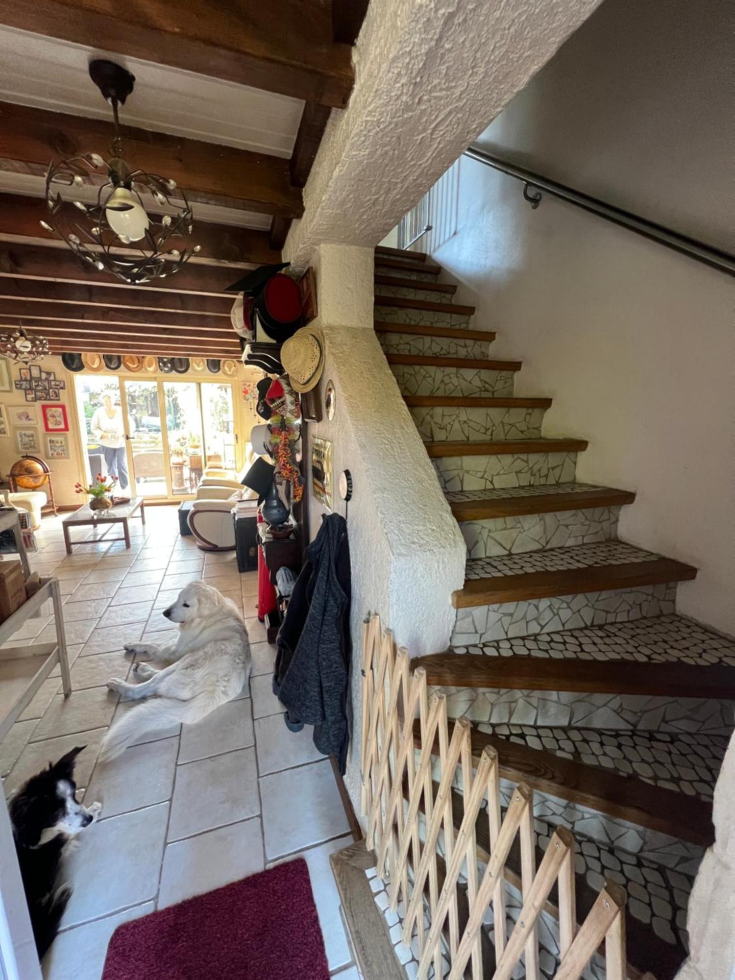 La Maison Du Bonheur Saintry-sur-Seine Dış mekan fotoğraf